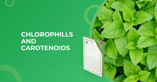 Chlorophylls and carotenoids