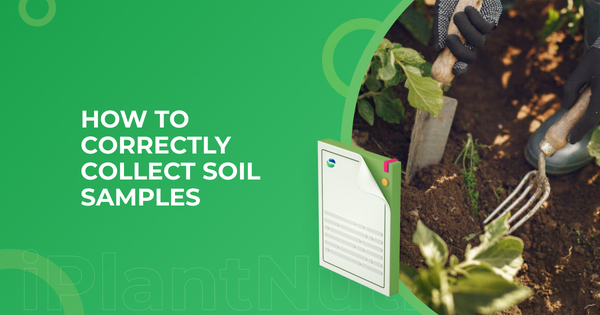 HOW TO CORRECTLY COLLECT SOIL SAMPLES