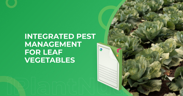 Integrated Pest Management In Leaf Vegetables