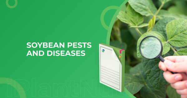 Soybean pests and diseases