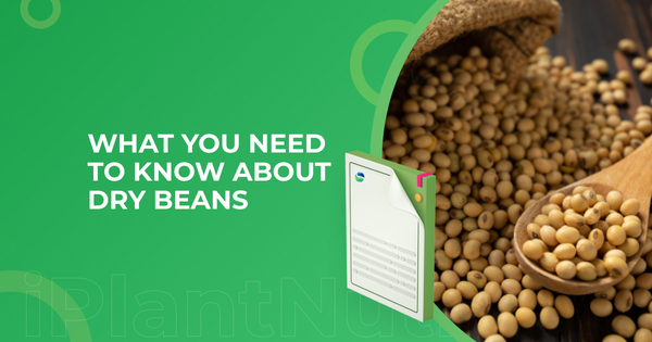 What You Need To Know About Dry Beans
