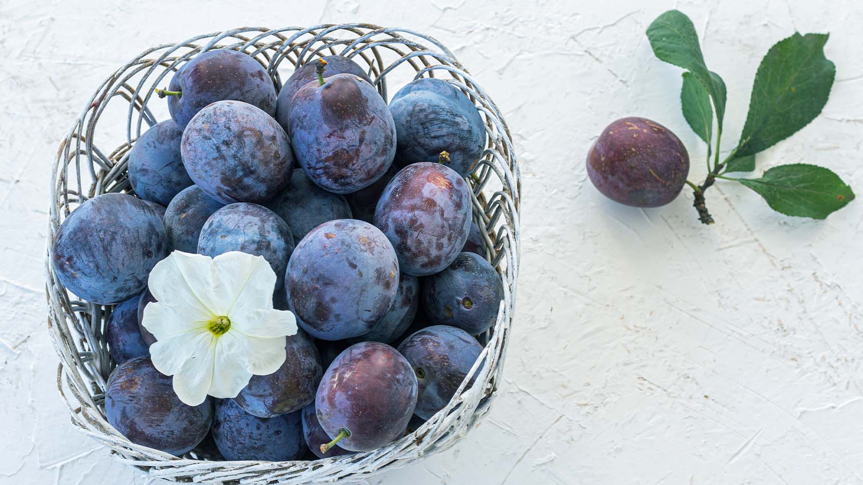 HOW TO GROW PLUMS